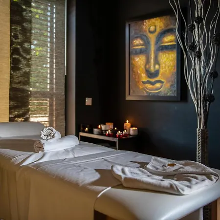 Hotel Budapest Airport Stacio Wellness & Konferencia Vecses