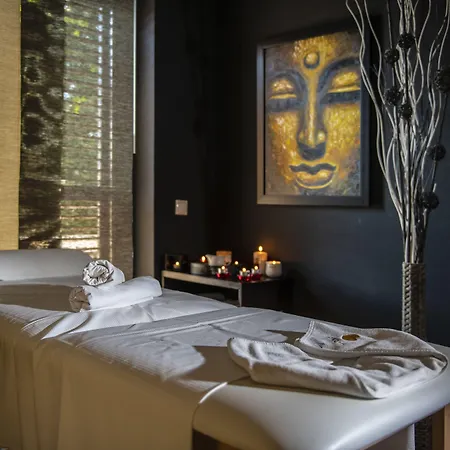 Budapest Airport Stacio Wellness & Konferencia 酒店