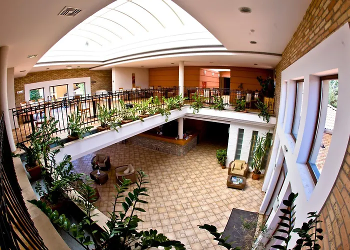 酒店 Budapest Airport Stacio Wellness & Konferencia 韦切什