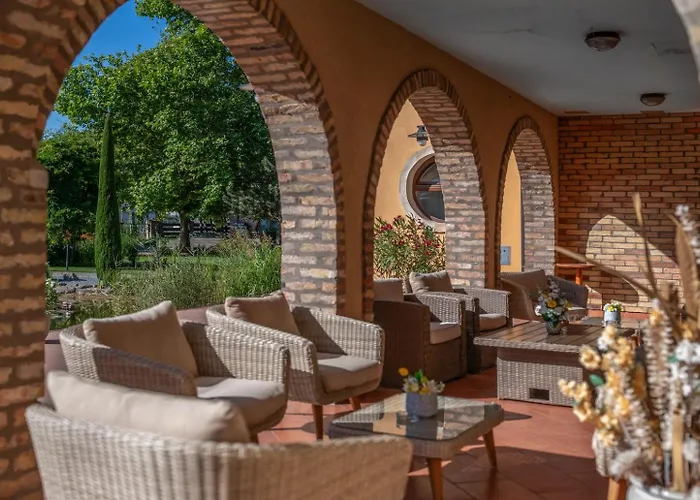 酒店 Budapest Airport Stacio Wellness & Konferencia 韦切什