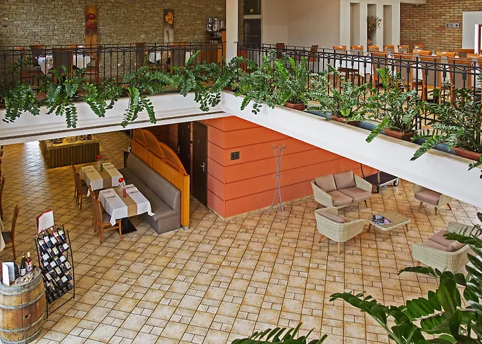 酒店 Budapest Airport Stacio Wellness & Konferencia 韦切什