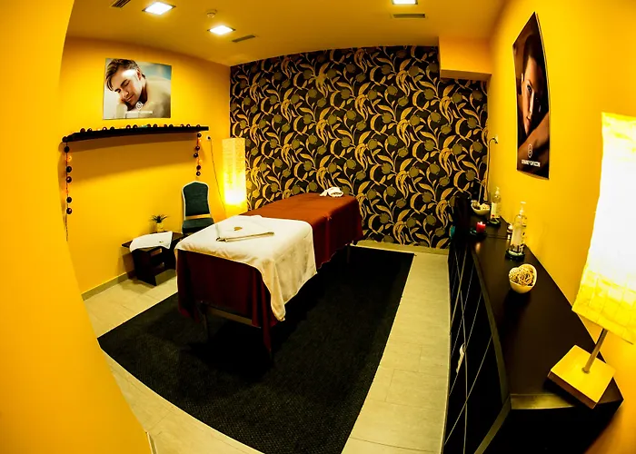 Budapest Airport Stacio Wellness & Konferencia 酒店