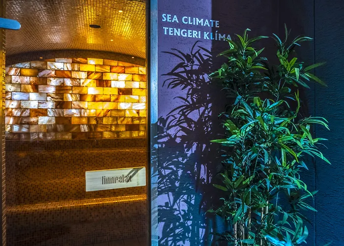 酒店 Budapest Airport Stacio Wellness & Konferencia 4*